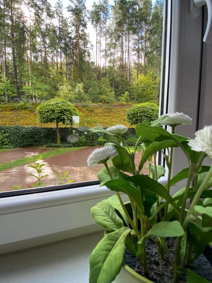 Lesny Apartament Ostrzyce Exteriér fotografie