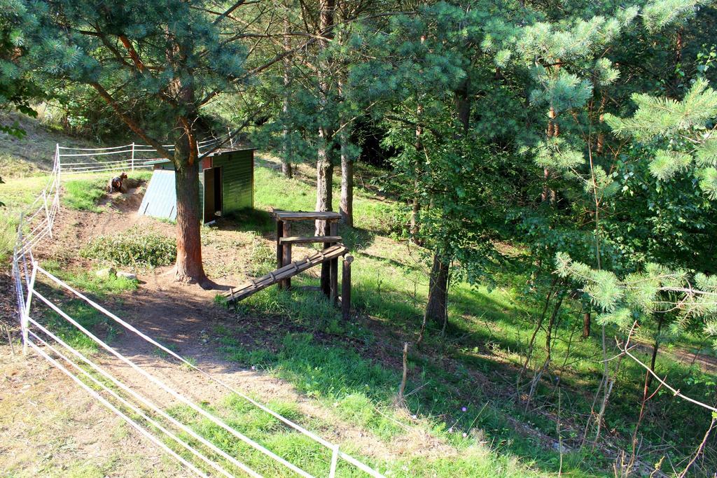 Lesny Apartament Ostrzyce Exteriér fotografie